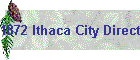 1872 Ithaca City Directories