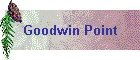 Goodwin Point
