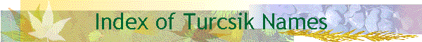 Index of Turcsik Names