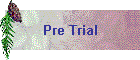 Pre Trial