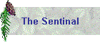 The Sentinal