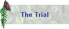 The Trial